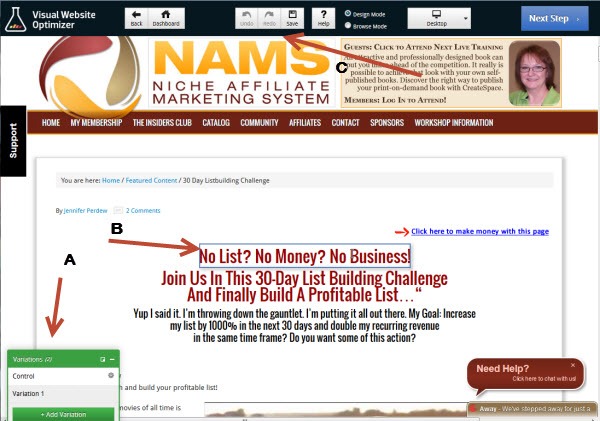 vwo NAMS List Building Challenge: How to Discover Whos Lurking on Your Site